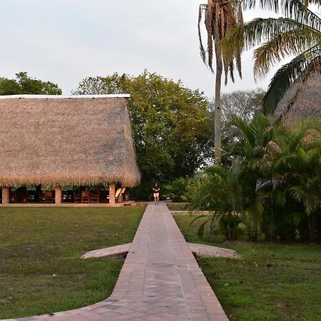 Savanna Orinoquia Lodge Orocué المظهر الخارجي الصورة