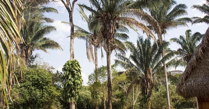 Savanna Orinoquia Lodge Orocué المظهر الخارجي الصورة